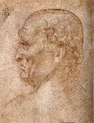 LEONARDO da Vinci Master of the Pala Sforzesca, profile of an old man china oil painting artist